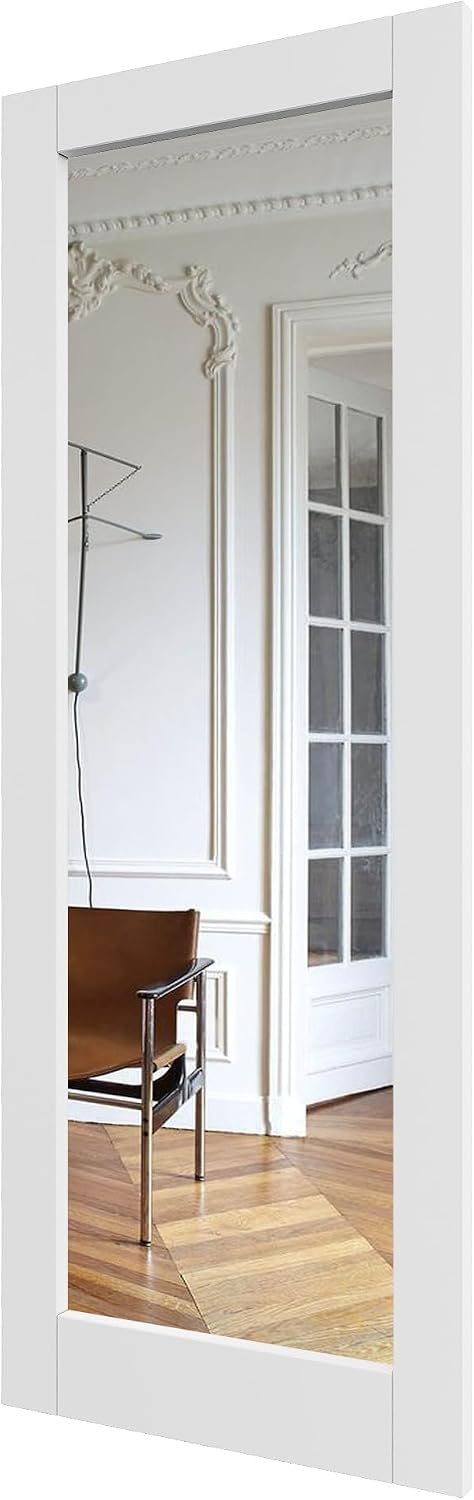 White Mirror Single Panel Interior Door